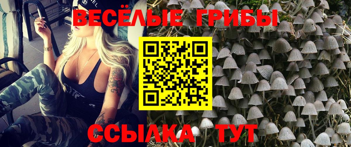 Галлюциногенные грибы Cubensis  купить наркотик  Ишим  Вход с VPN 