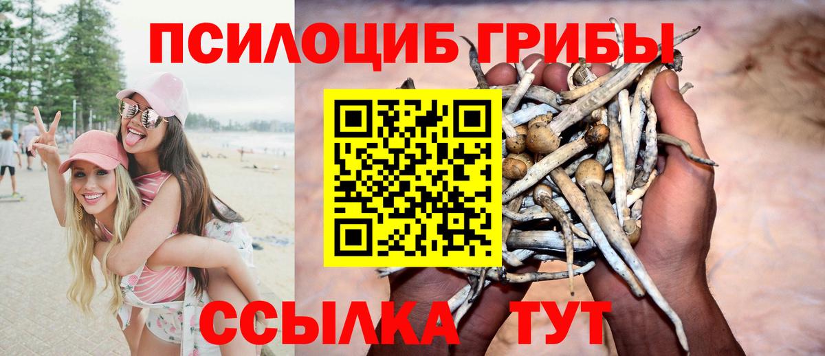 Псилоцибиновые грибы ЛСД Ишим
